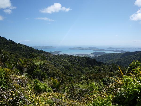 IMGP0363
