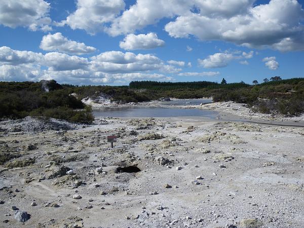 IMGP0582