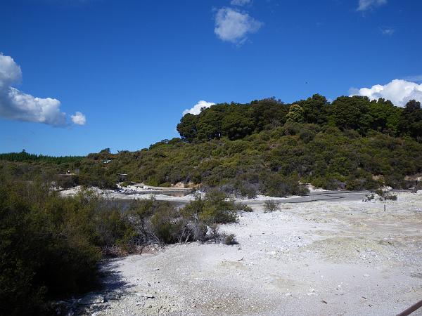 IMGP0584