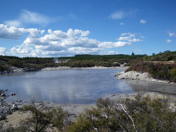 IMGP0612