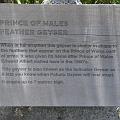 IMGP0511