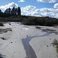 IMGP0581