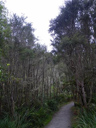 IMGP0702