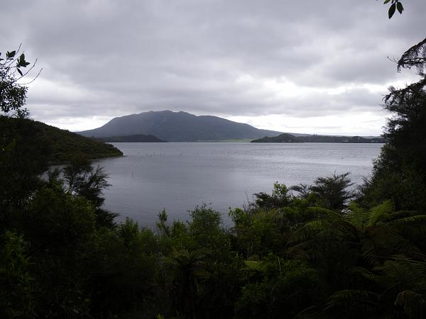 IMGP0705