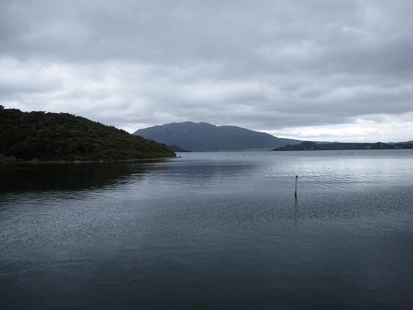 IMGP0708