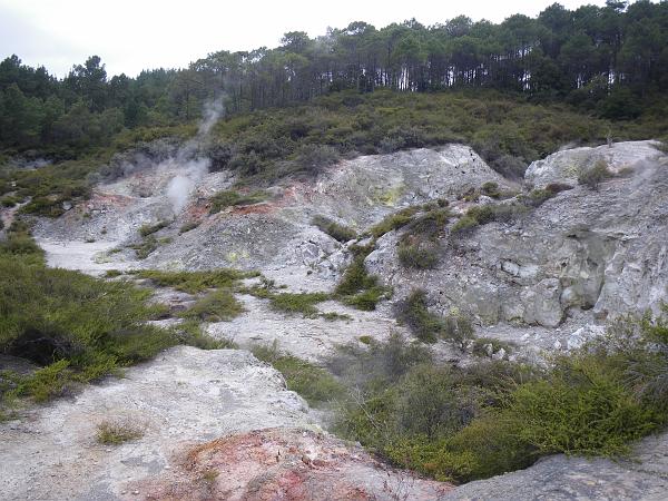 IMGP0716