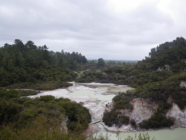IMGP0733