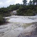 IMGP0755