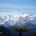 14_Den_17112009_Franz_Josef-Queenstown