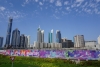 DSC02660